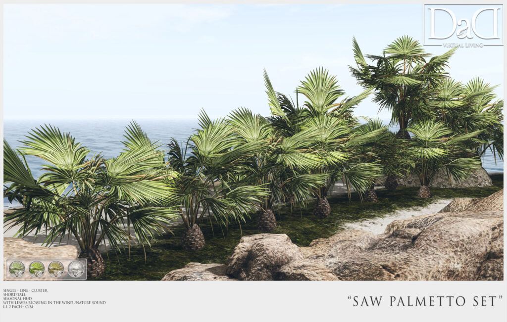 Saw Palmetto Set – DaD -Virtual Living